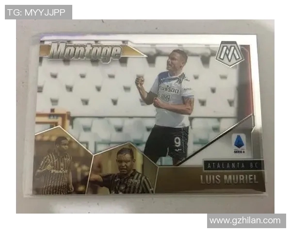 如何使用帕尼尼足球星卡收藏与交易的完整指南