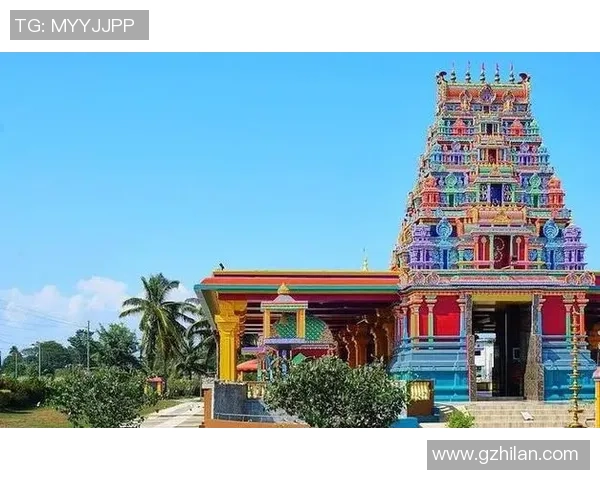 椰子壳足球：球星用大自然的馈赠挑战传统运动的极限