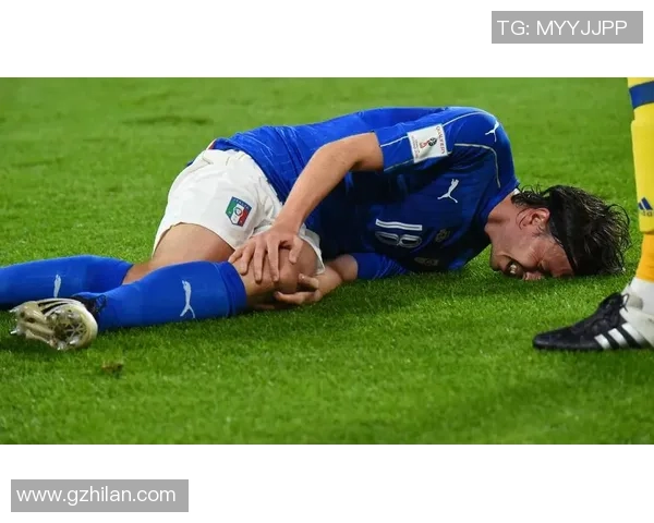 绿茵草场上的雪域骄子讲述藏族足球球星的拼搏与荣耀