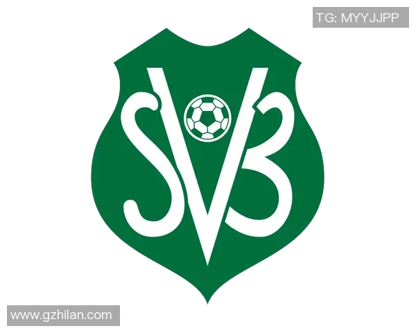 足球球星专属Logo设计与品牌个性化呈现探索