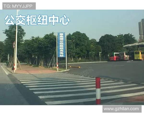 足球球星评论网站：深入分析球员表现与赛场动态，打造专业球迷社区